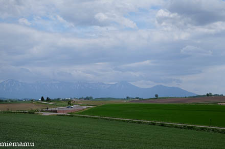 d0340565_20012115.jpg