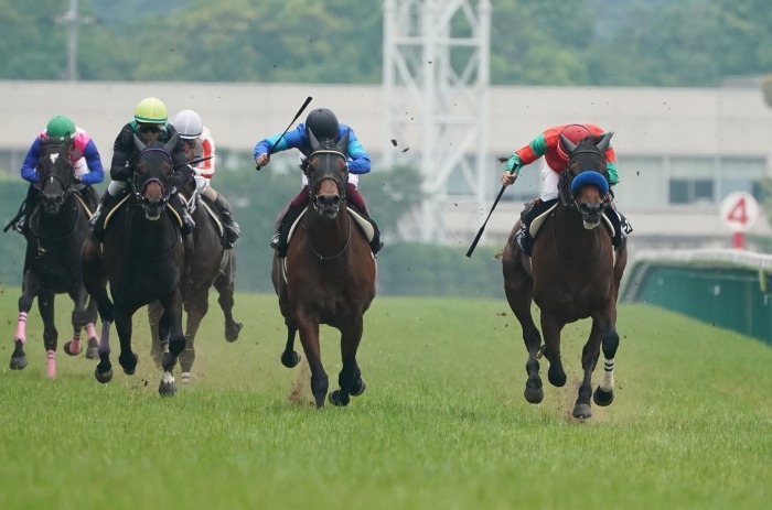 新馬戦スタート、そして、ガンバレ藤田騎手。_b0173867_10043276.jpg