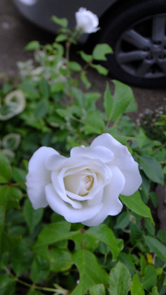 f0260167_09040319.jpg