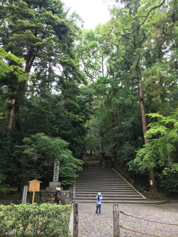 f0363168_21314532.jpeg