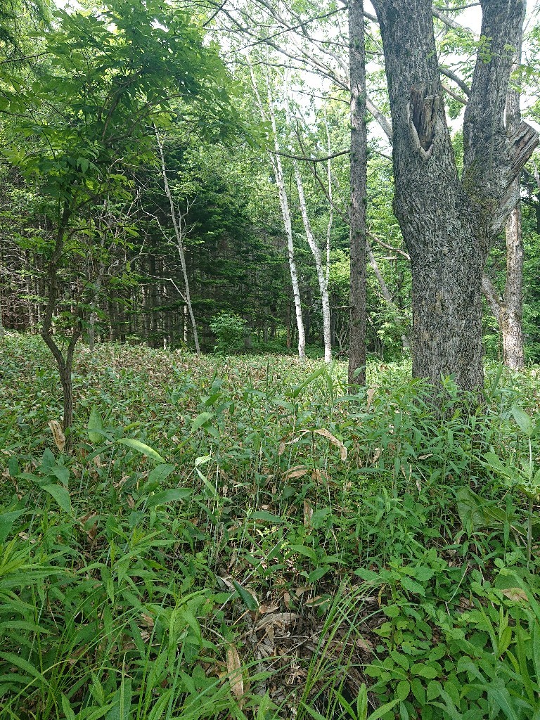 c0311170_21354104.jpg