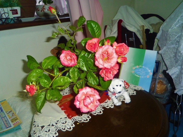 e0031572_13290101.jpg