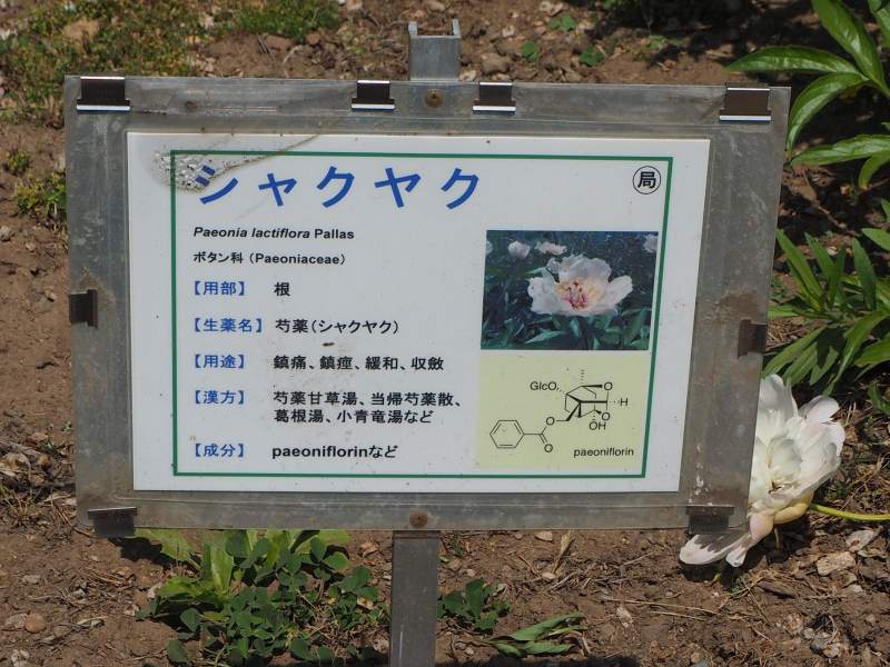 c0183777_4441543.jpg