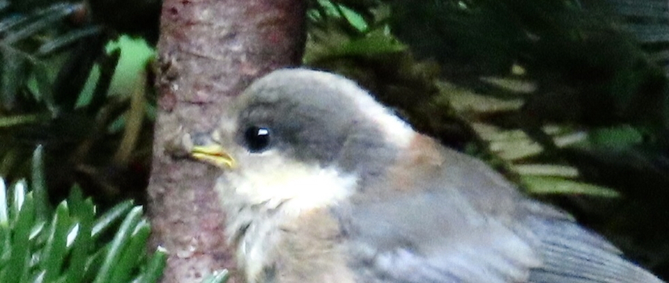 a0091680_07415928.jpg