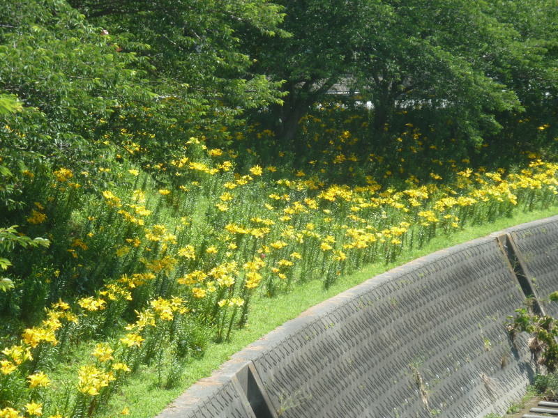 b0095981_05285827.jpg