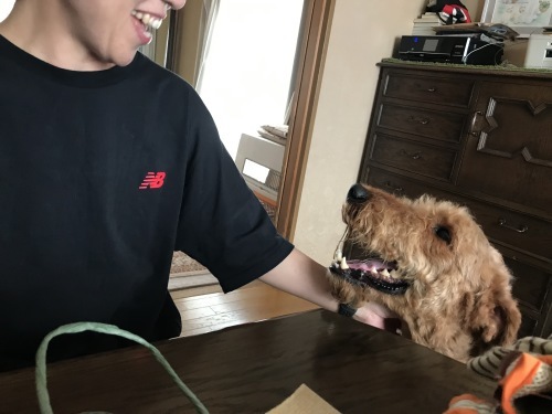 a0216583_23355320.jpeg