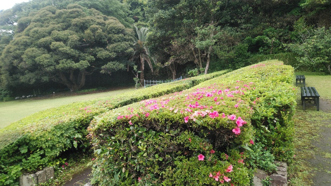 建築物百選 鎌倉文学館_b0404584_15154347.jpg