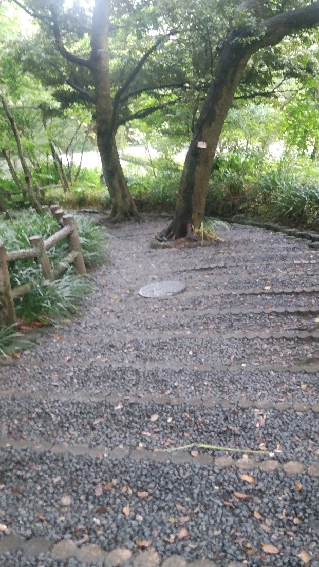 建築物百選 鎌倉文学館_b0404584_19131255.jpg