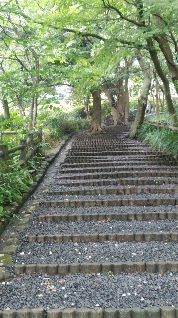 建築物百選 鎌倉文学館_b0404584_19131261.jpg