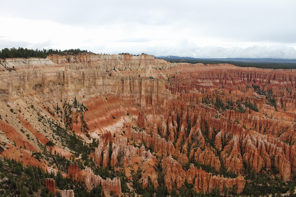 b0177792_16090678.jpg