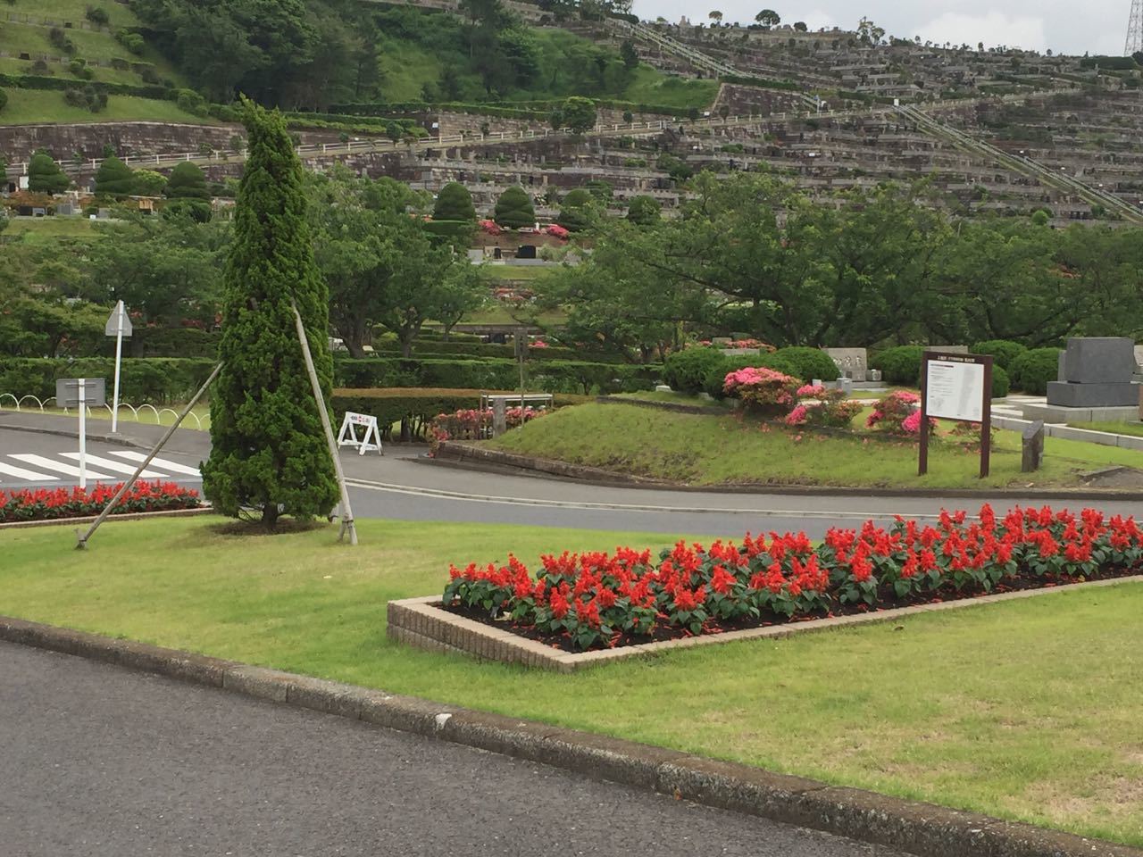 f0130894_20100685.jpg