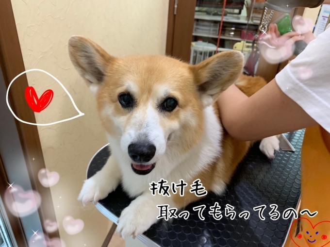 d0269898_18523684.jpeg