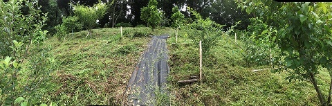 e0270403_15160647.jpg