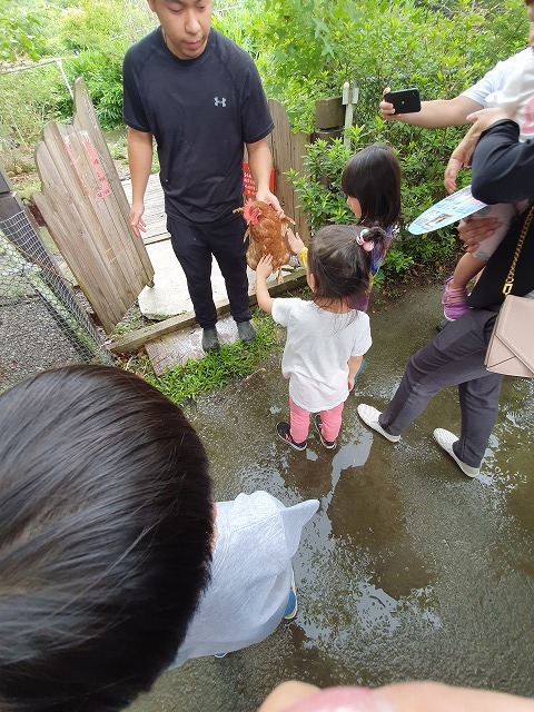 【苗栗へ行こう】⑦新鮮な玉子収穫体験と蛋捲（エッグロール）作り体験_b0182708_15571627.jpg