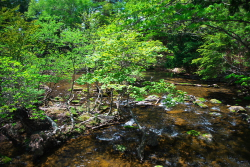 a0263109_19351149.jpg