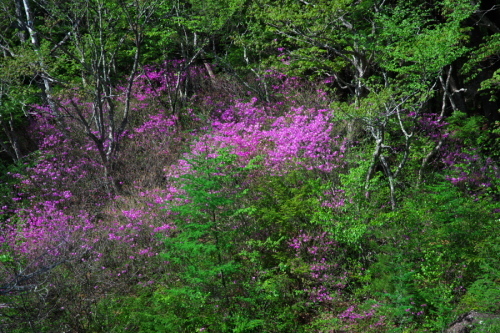 a0263109_19482995.jpg