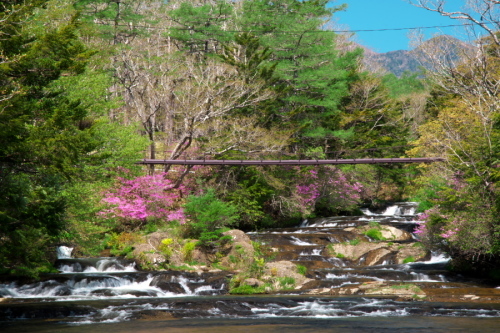 a0263109_20032338.jpg