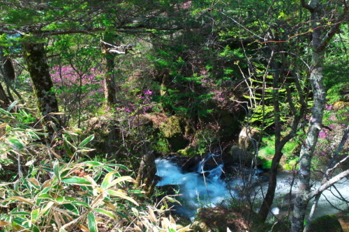 a0263109_20032442.jpg
