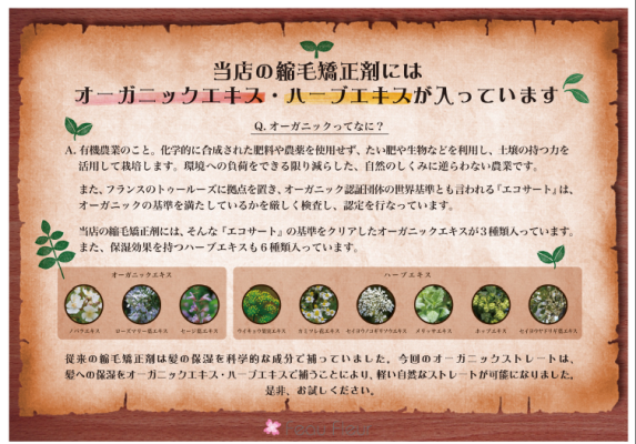 梅雨のクセ毛対策_e0000910_21270679.png
