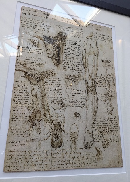 レオナルド・ダ・ビンチ発明展2_b0064411_22174865.jpg