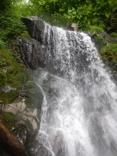 花崗岩の沢から癒しのブナ林、そして棚田跡…殿又谷_c0359615_21594840.jpg