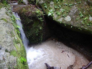 花崗岩の沢から癒しのブナ林、そして棚田跡…殿又谷_c0359615_22012400.jpg