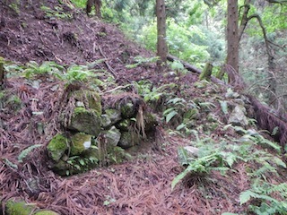 花崗岩の沢から癒しのブナ林、そして棚田跡…殿又谷_c0359615_22031125.jpg