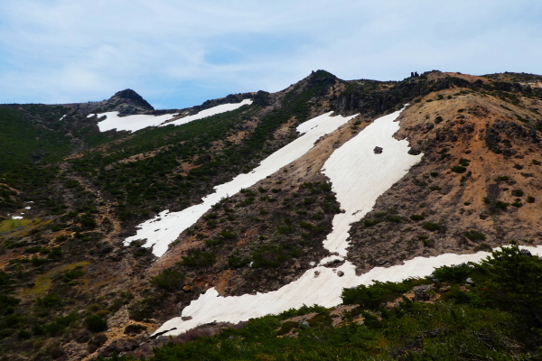 d0170615_20172742.jpg