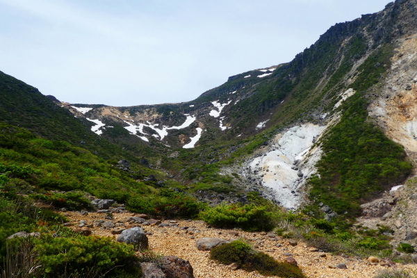 d0170615_20174828.jpg