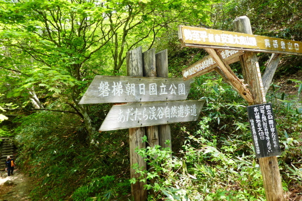 d0170615_20183291.jpg