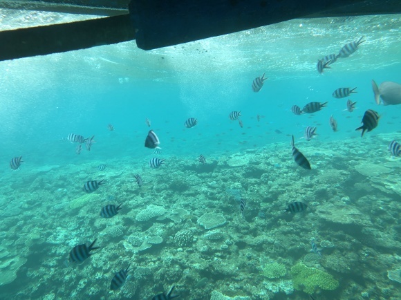 f0233916_10542808.jpg
