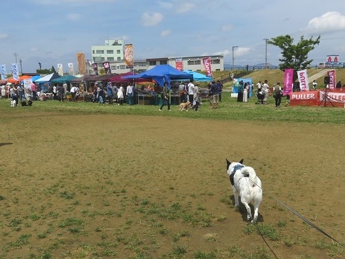 c0084117_18372832.jpg