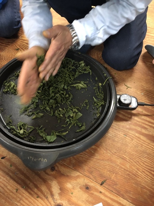 サロンドシャンティ大人の遠足 梅が島へ 茶摘みツアー_a0169924_21522459.jpeg