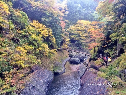 北茨城&福島CAMP ~備忘録~_f0289824_16220155.jpg