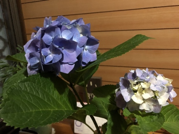 b0164428_18090815.jpeg