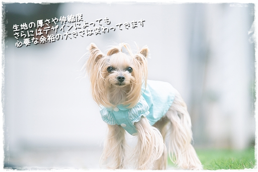 d0179828_10552778.png