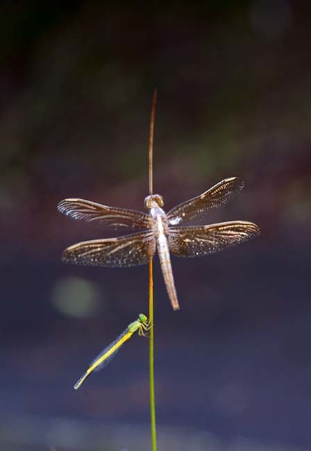 d0147530_09104402.jpg