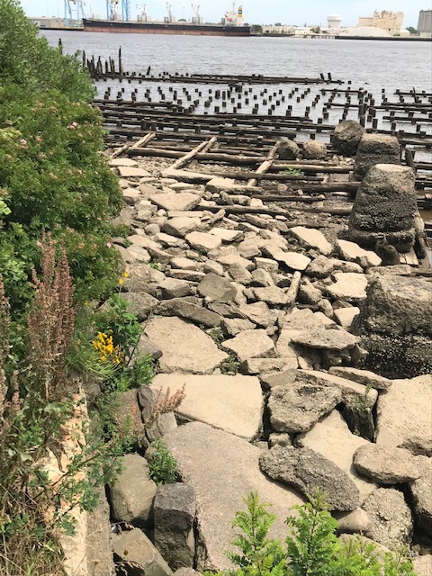 d0269832_04202151.jpeg