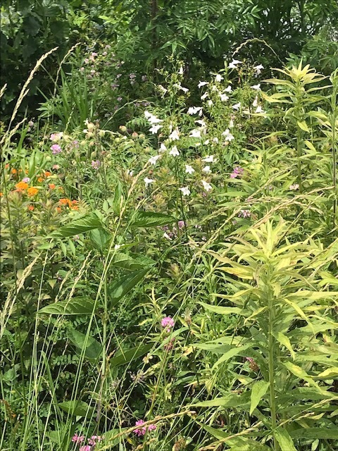 d0269832_04220767.jpeg