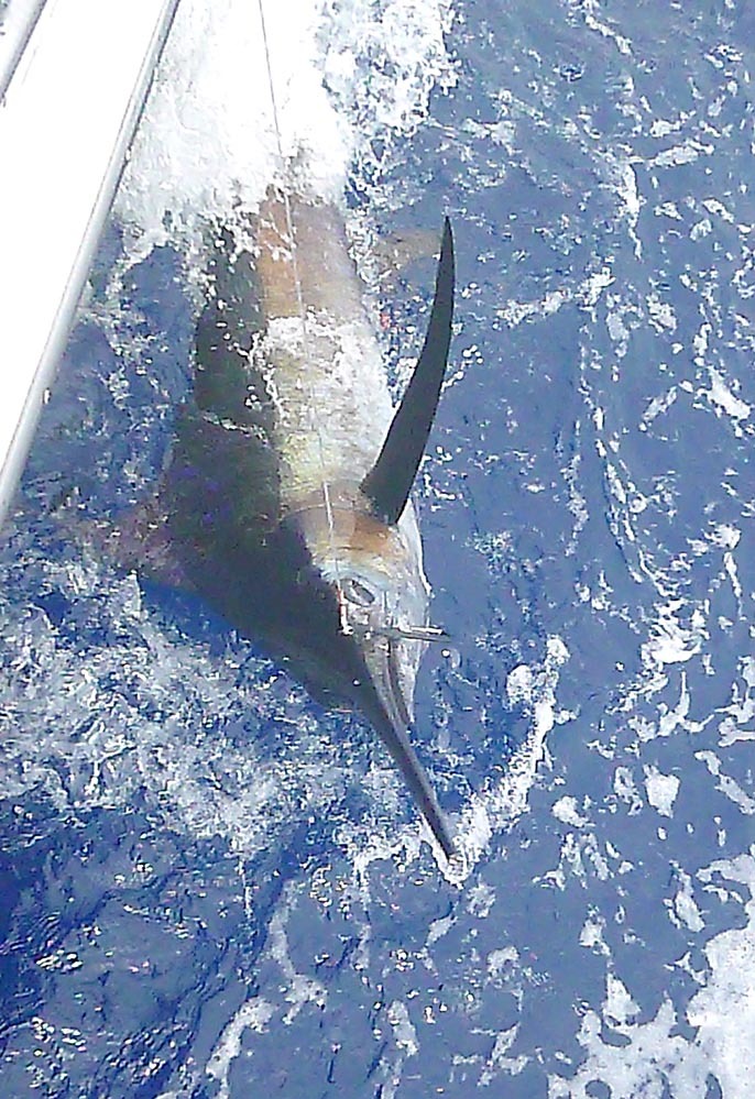 BZ艇さんから釣果報告_f0009039_09315573.jpg