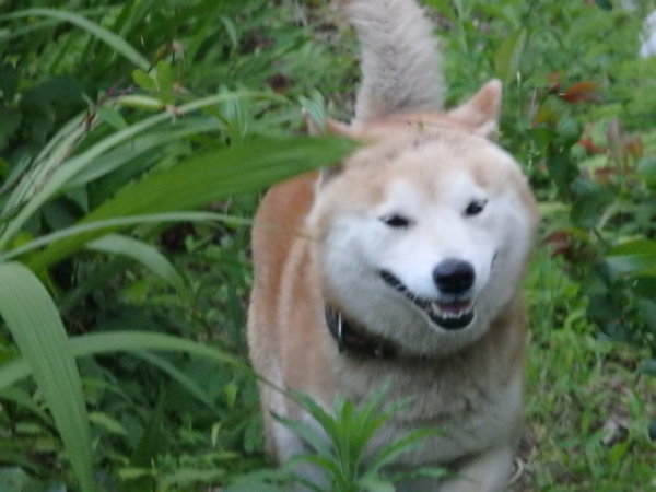 a0054240_21121706.jpg