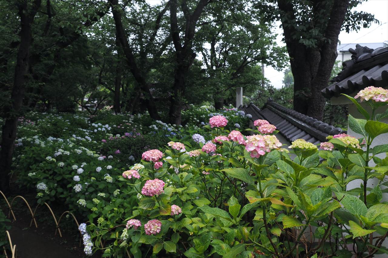 f0396143_120033.jpg