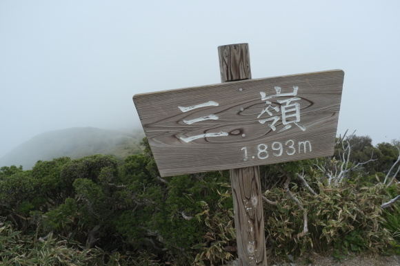 a0166150_17533464.jpg