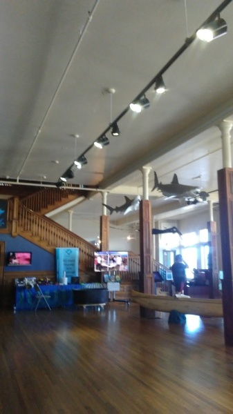 b0126453_05524212.jpg