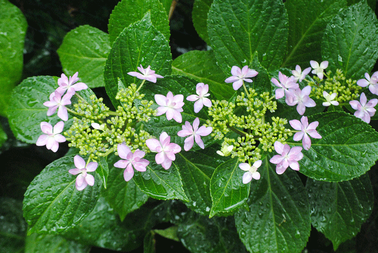 a0001354_23251202.gif