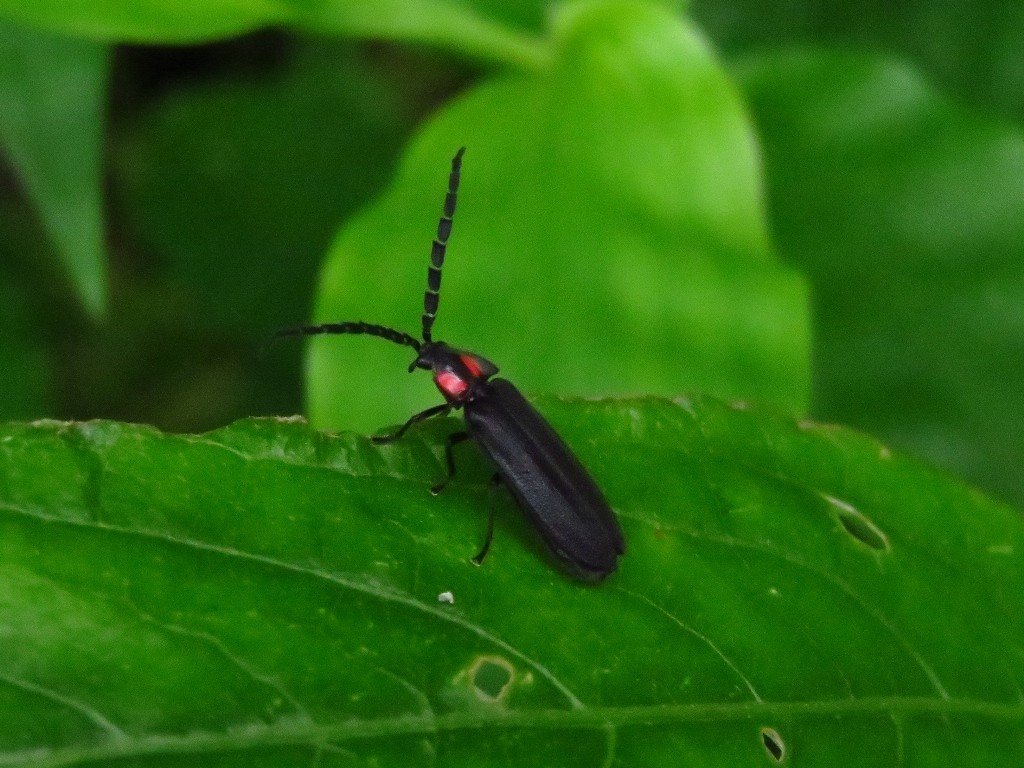 a0018655_09065008.jpg