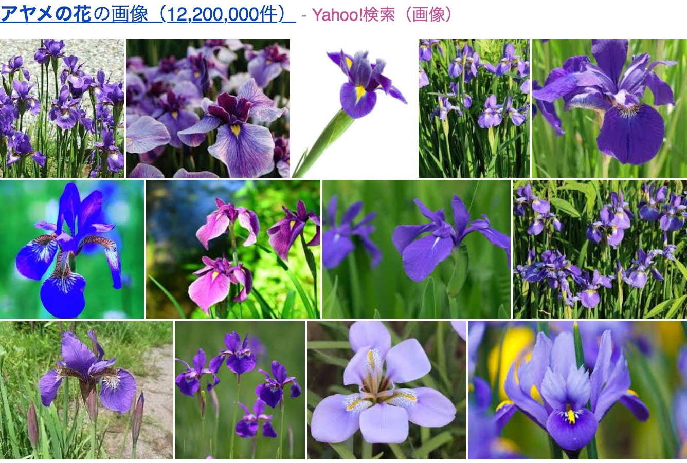 a0053063_16422620.jpeg