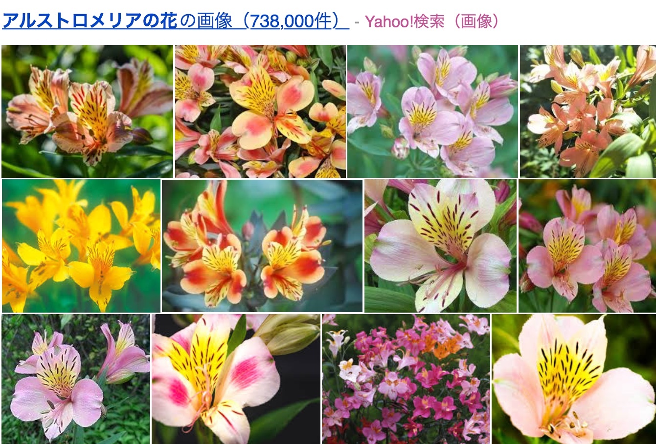 a0053063_16425767.jpeg