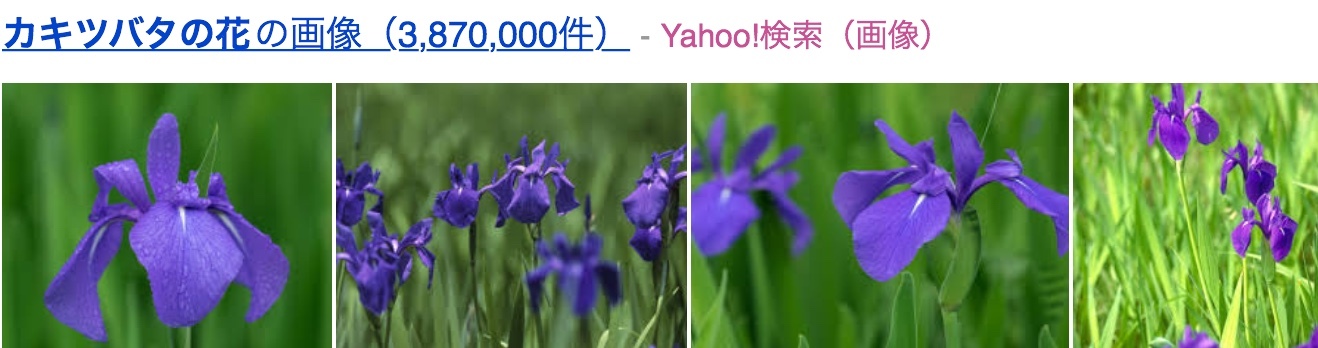 a0053063_16495961.jpeg