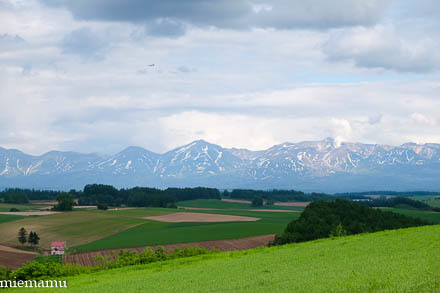 d0340565_20331943.jpg